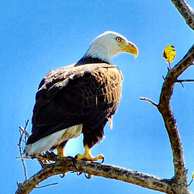 Brooks’ employee photo contest winners