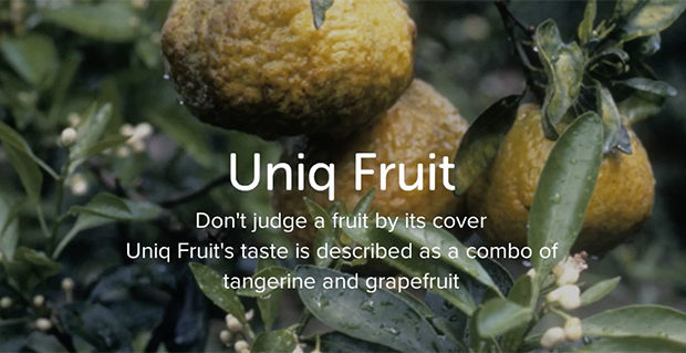Ways to enjoy Uniq Fruit