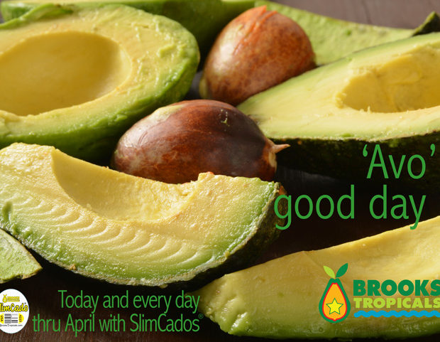 ‘Avo’ good day