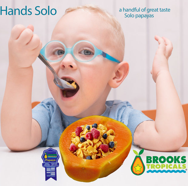 Hands Solo