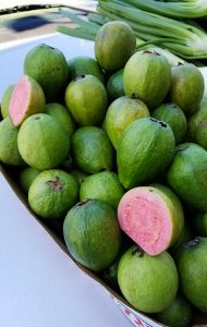 Guava, just off the vine