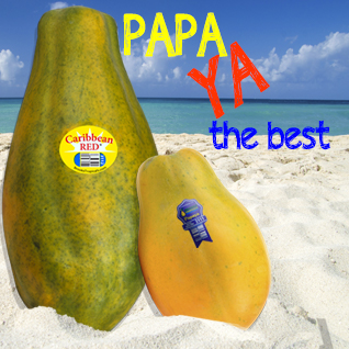 Papa ya the best