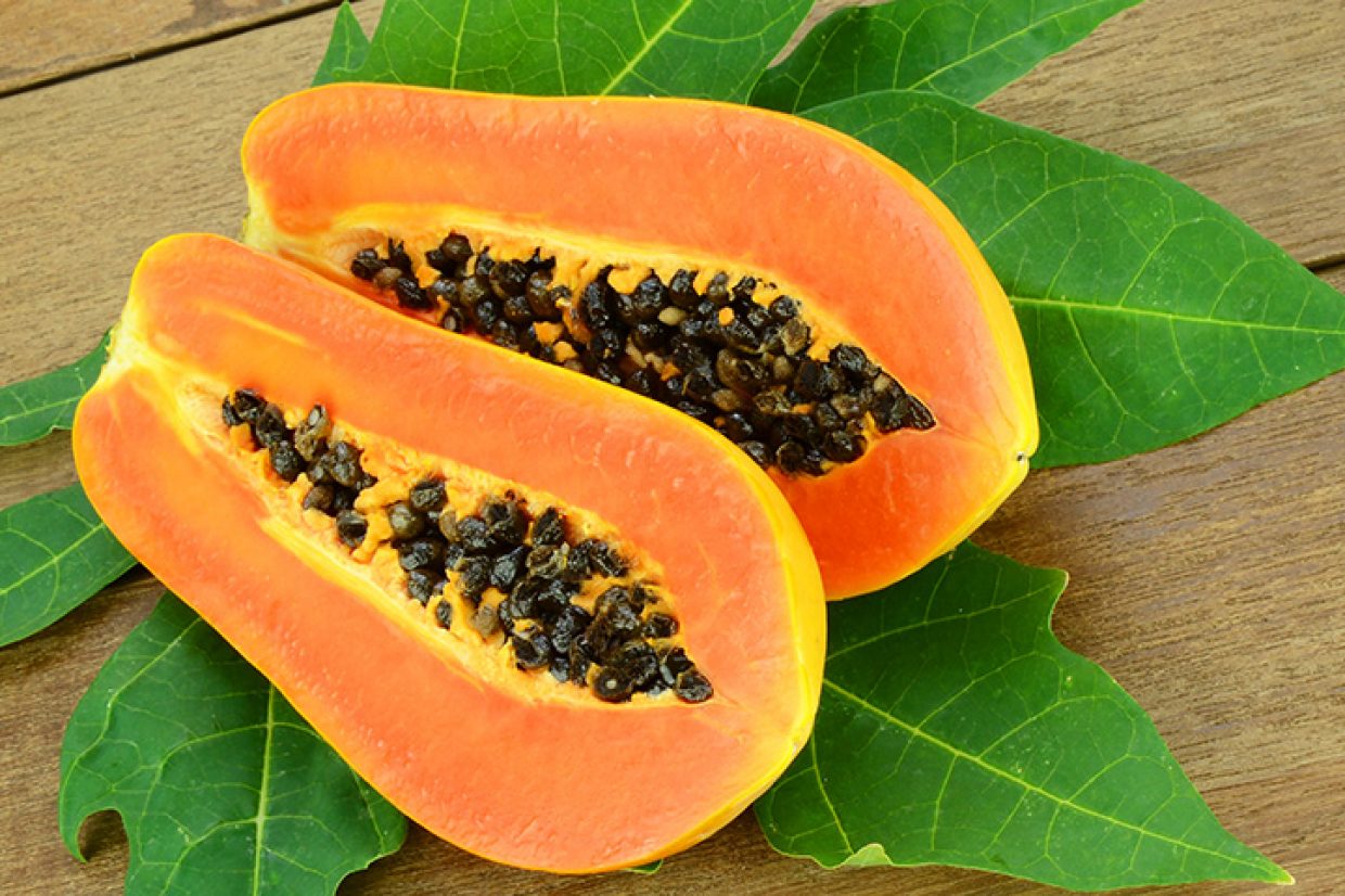 All about Caribbean Red papayas - Brooks Tropicals