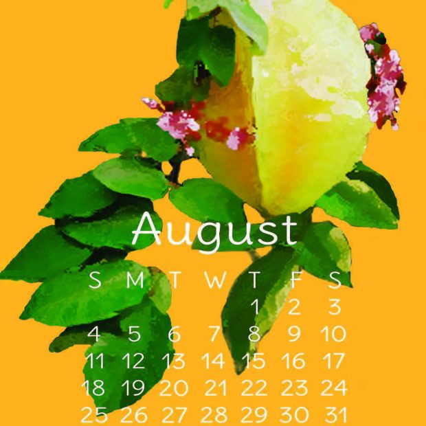 2019 Tropical Fruit Calendar