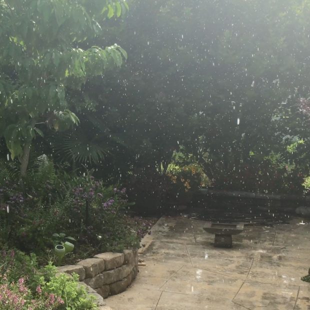 Sun Shower