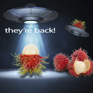 Beam up some rambutan!