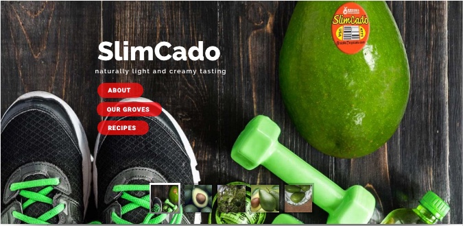 Tips and hints on enjoying our SlimCados