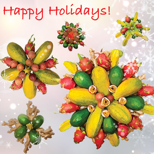 Happy Holidays!
