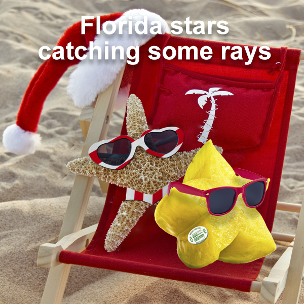 Florida stars