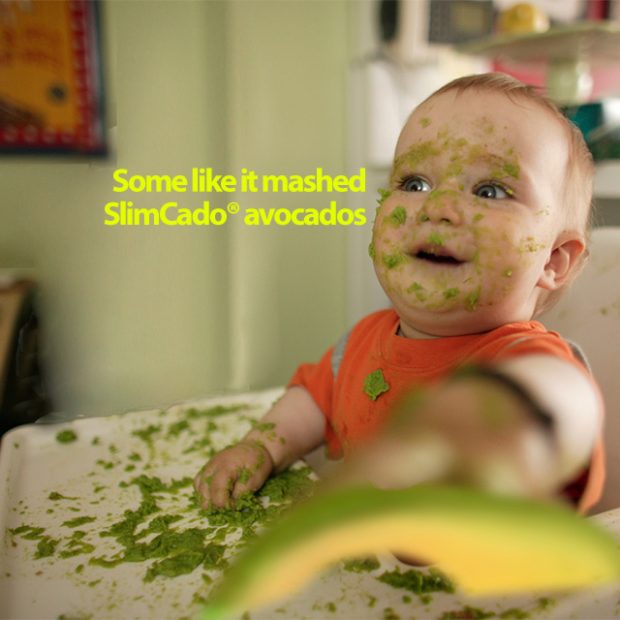 Avocado jokes