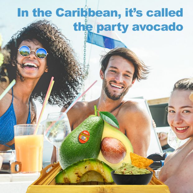 Party avocado!