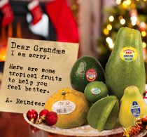 The reindeer’s note