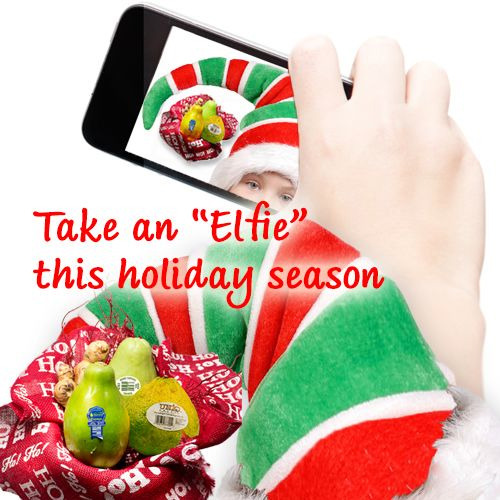 Take an elfie