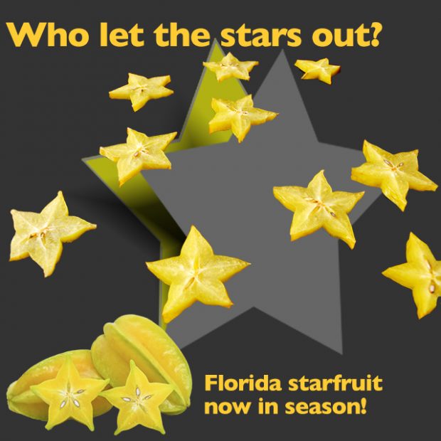 Who let the stars out!