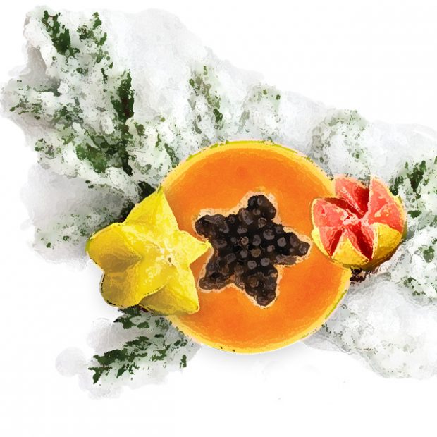 Enjoy winter’s beauty