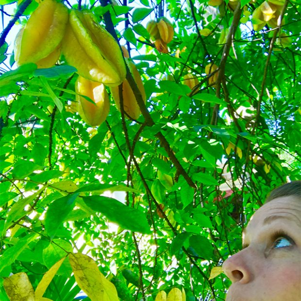 Employee photo contest winner