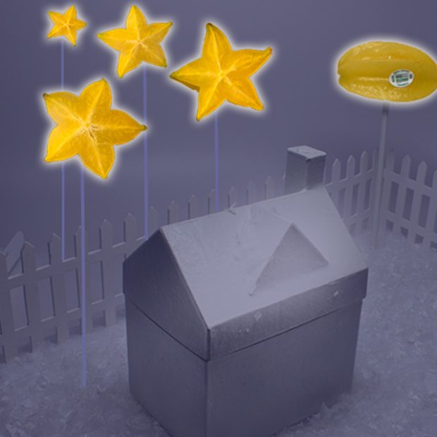 Let the stars shine