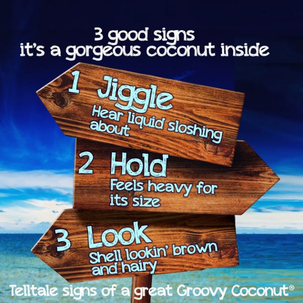 3 good signs of a great coconut