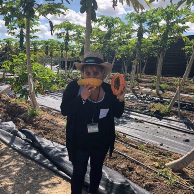 Under a papaya tree!