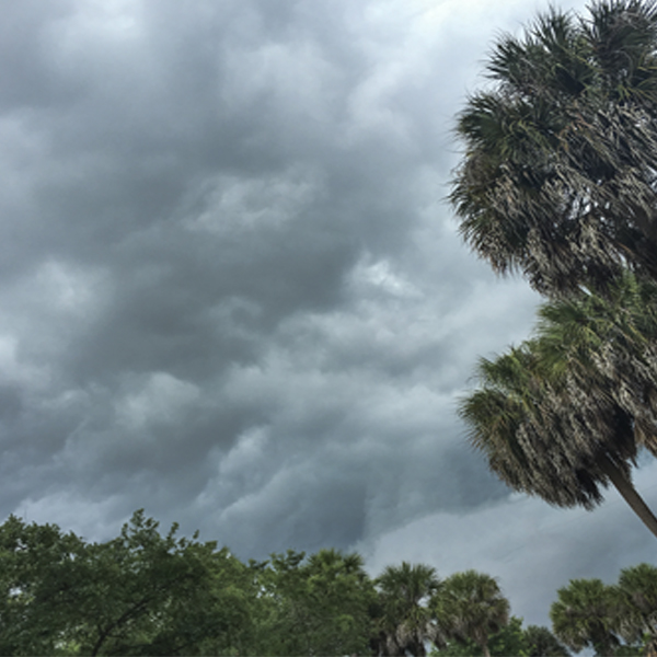 Summer brings the rain