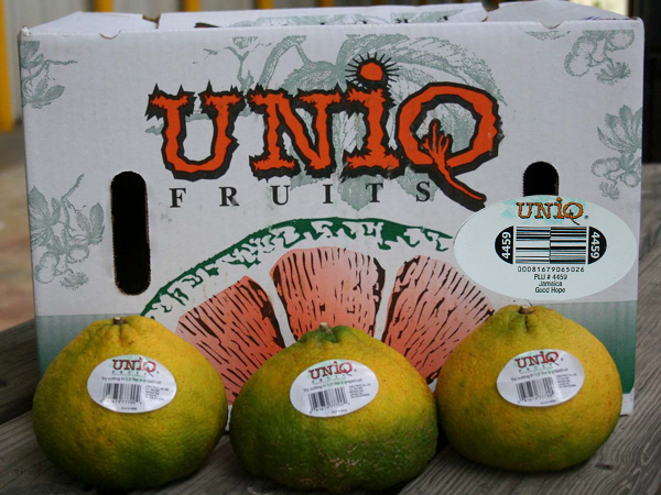 Uniq Fruit in a box