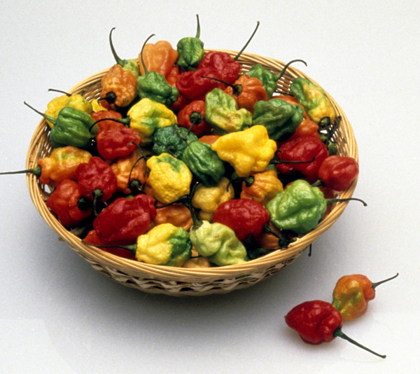 Habanero peppers in a dish