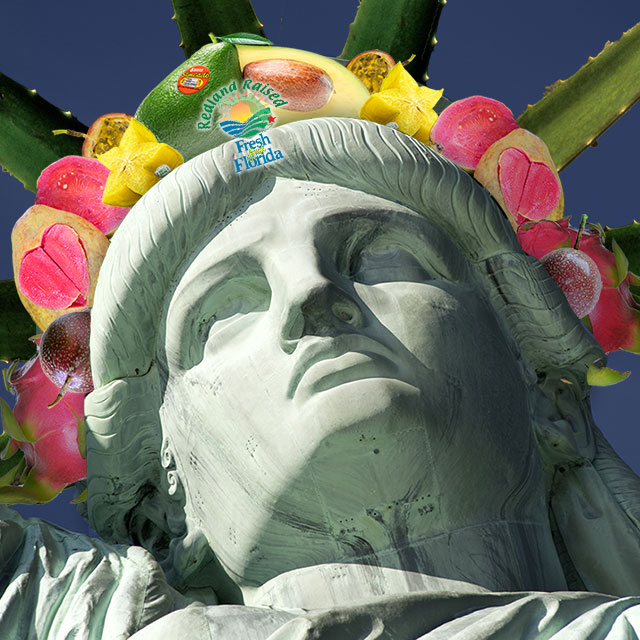Statue of tropicals grown in the USA
