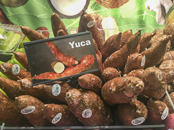 yuca on display