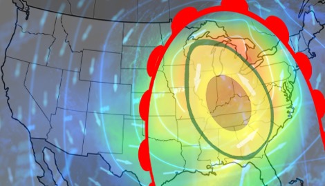 Avocado alert!