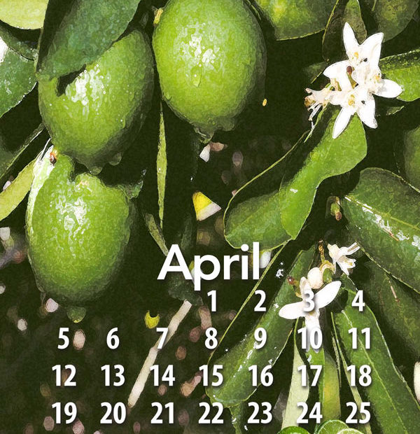 Free tropical fruit calendar