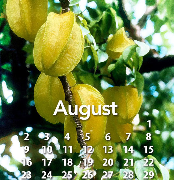Free tropical fruit calendar