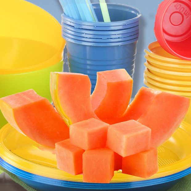 Day 11 – 30 ways in 30 days Solo papayas