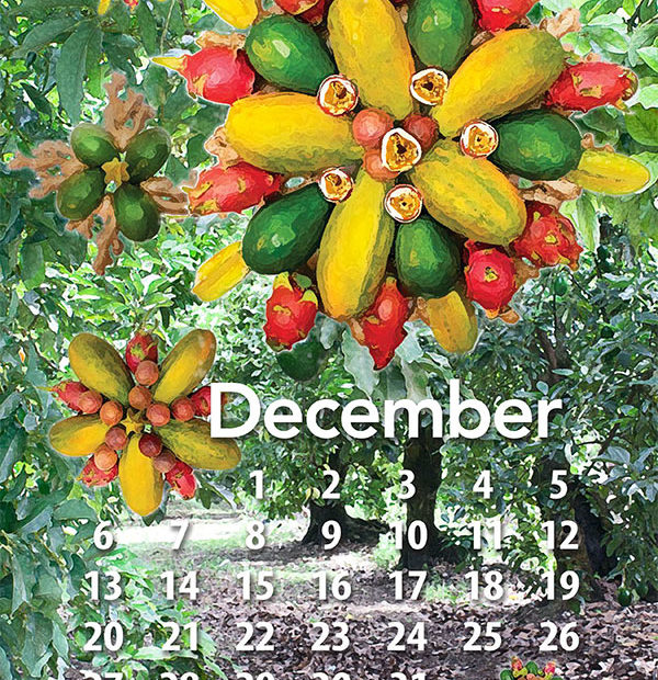 Free tropical fruit calendar