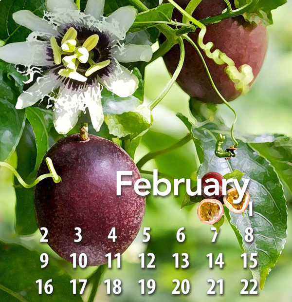 Free 2020 calendar