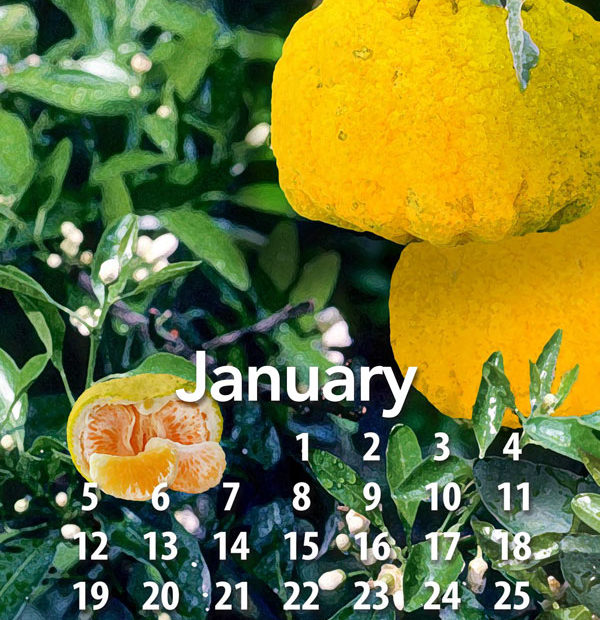 Uniq Fruit is January’s fruit of the month
