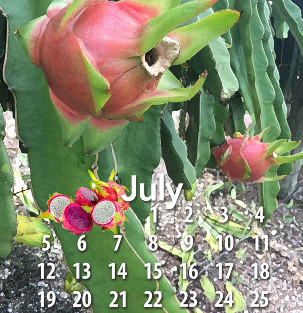 Free tropical fruit calendar