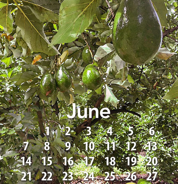 Free Tropical Fruit calendar