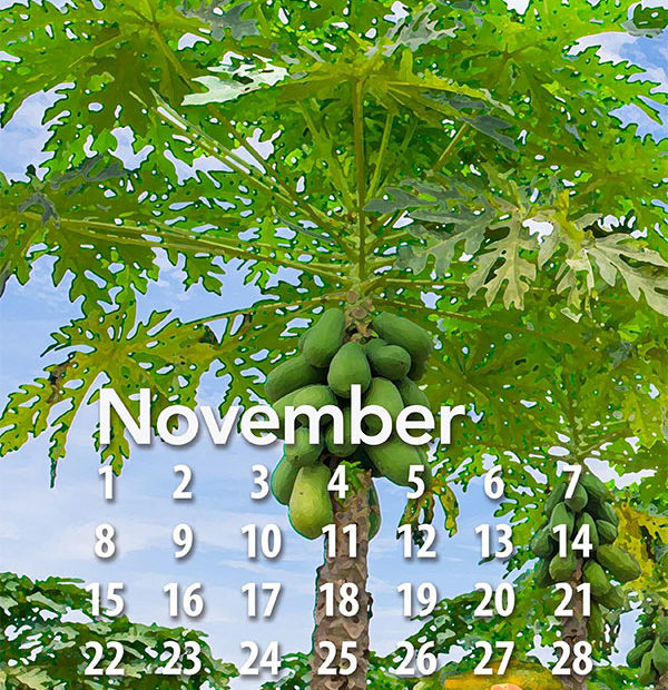 2020 Tropical Fruit calendar