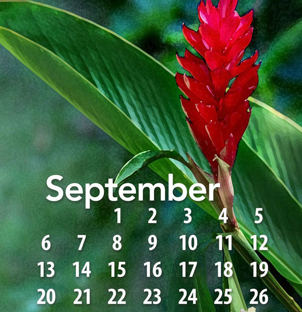 Free tropical fruit calendar