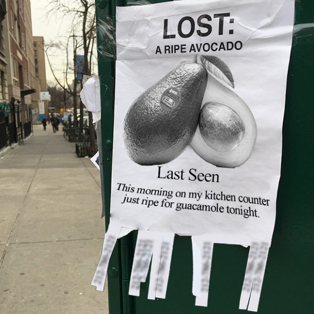 Avocado gone missing?