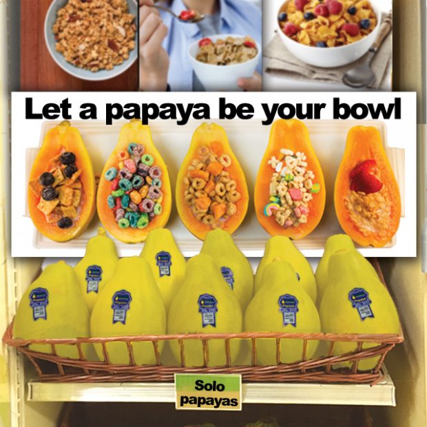 Day 28 – 30 ways in 30 days Solo papaya