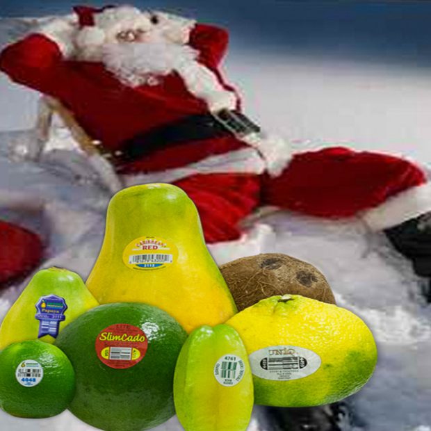 What Santa brings back from his trip