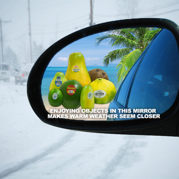 Tropical rearview mirror