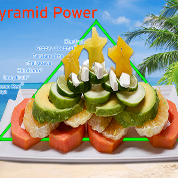 Tropical food pyramid