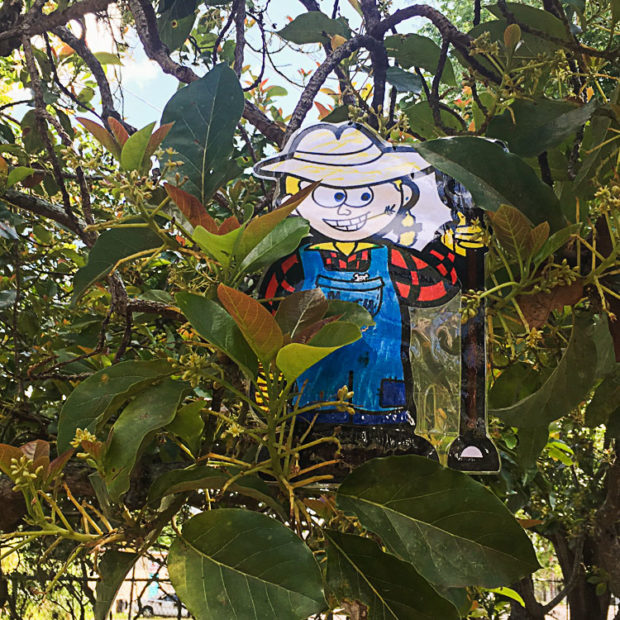 Farmer in the Dell?
