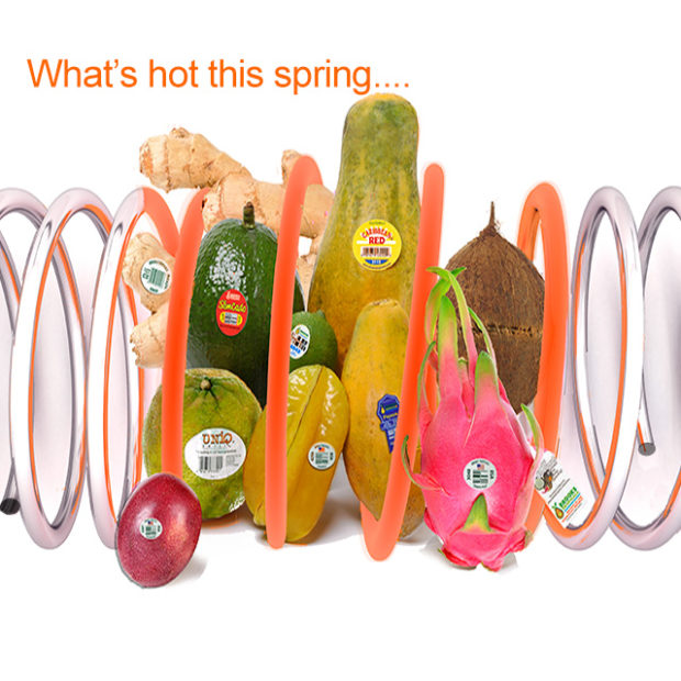 What’s hot this spring?