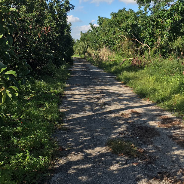 Follow the road