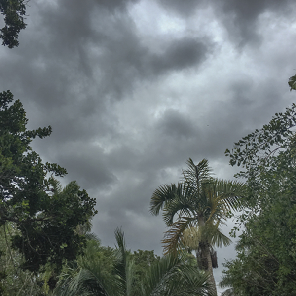 Tropical rains