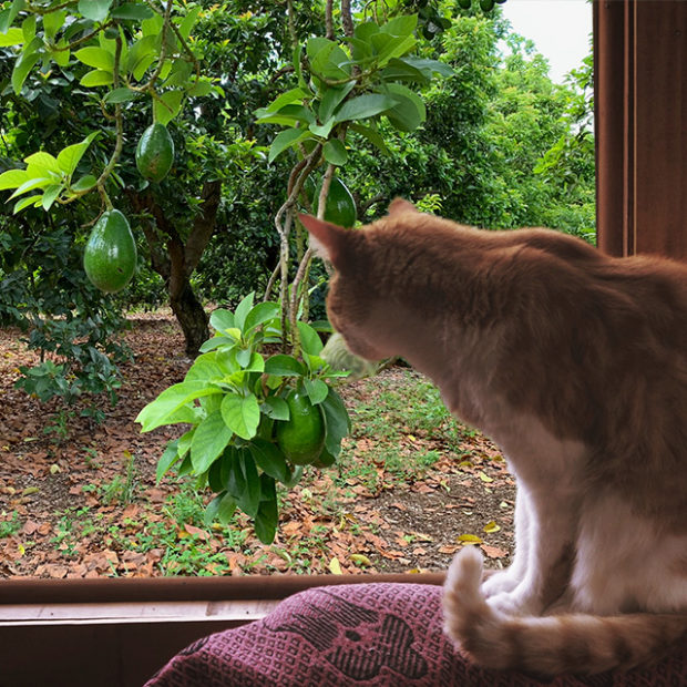 View from our window