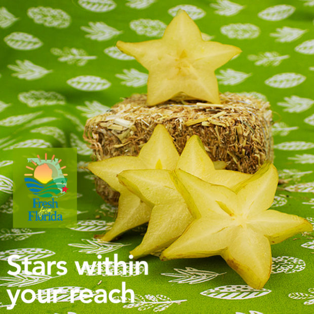 Stars within in your reach